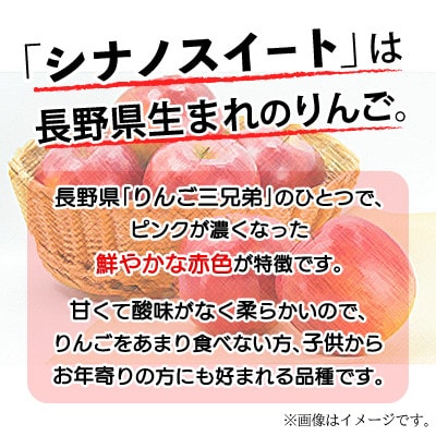 【数量限定】南信州産 りんご　シナノスイート　5kg箱