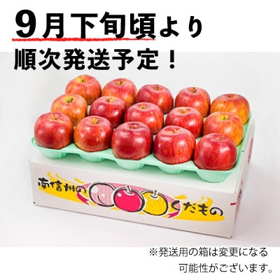 【数量限定】南信州産 りんご　シナノスイート　5kg箱