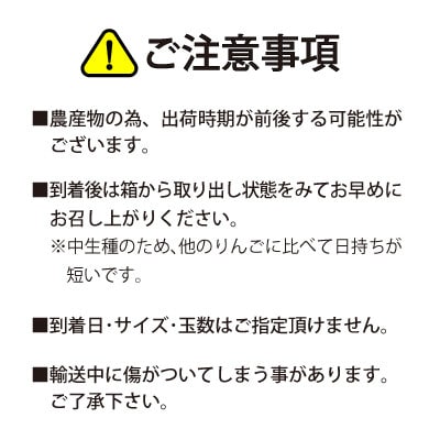 【数量限定】南信州産 りんご　シナノスイート　5kg箱