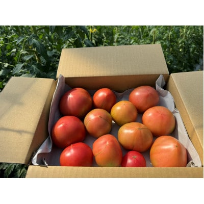 訳ありトマト 1.8kg