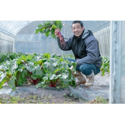 301サラダ・ドレッシング　382サルサ・ロッサ　各1本