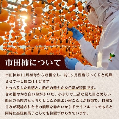 【ワインのおつまみにもオススメ】市田柿フロマージュ　100g×3個