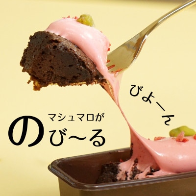 ガトーショコラ ジャンドゥーヤ マシュマロ スモア スイーツ ケーキ セット