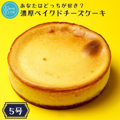 どっちが好き?濃厚ベイクドチーズケーキ5号