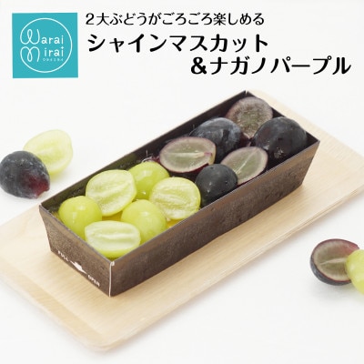 1本で2度おいしいシャインマスカット&ナガノパープルカタラーナ