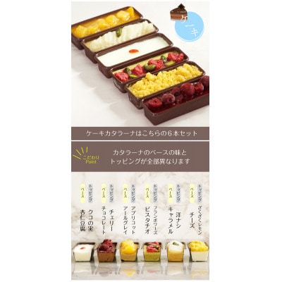 ケーキカタラーナプリン 詰め合わせギフト6個入