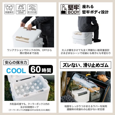 シマノ フィクセル LT 22L (Wライトグレー) クーラーボックス