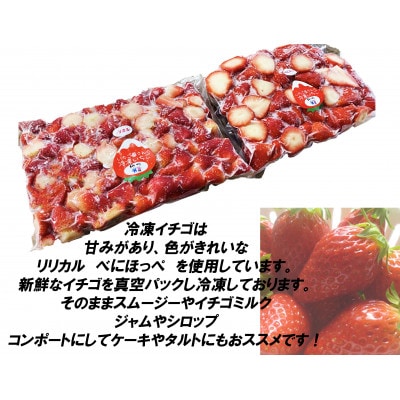 南信州産100%　無添加冷凍いちご練乳セット　便利な小分けタイプ   旬の朝採れ完熟イチゴを真空冷凍