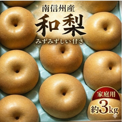 南信州産　和梨 約3kg　訳あり