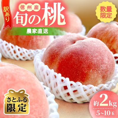 【数量限定】訳あり 信州産 桃 約2kg 農家直送 旬の桃　2026年先行受付【さとふる限定】