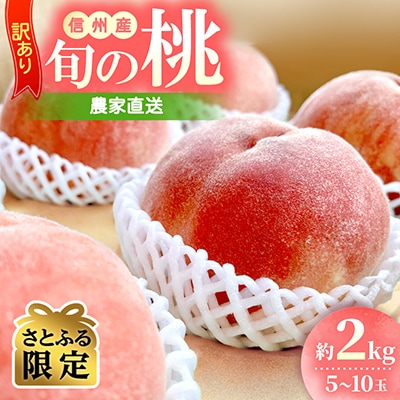訳あり 信州産 桃 約2kg 農家直送 旬の桃　2026年先行受付【さとふる限定】