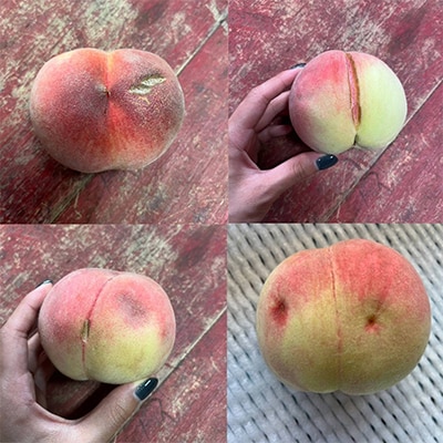 【数量限定】訳あり 信州産 桃 約2kg 農家直送 旬の桃　2026年先行受付【さとふる限定】