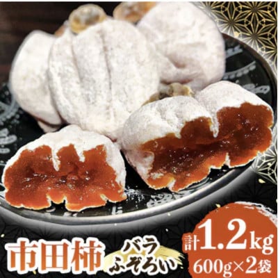 南信州の名産品　市田柿　600g×2袋セット　バラふぞろい