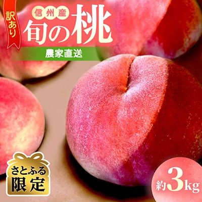 訳あり 信州産 桃 約3kg 農家直送 旬の桃 【さとふる限定】