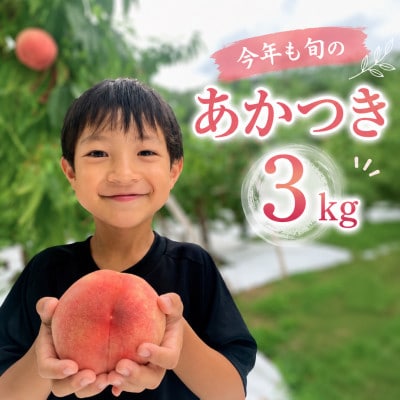 南信州産　桃【あかつき】3kg