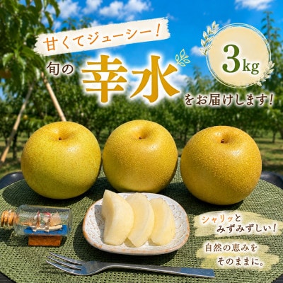 南信州産　梨【幸水】3kg
