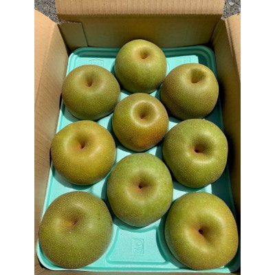 南信州産　梨【幸水】3kg