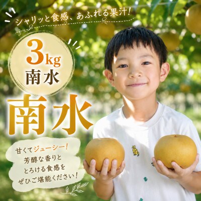 南信州産　梨【南水】3kg