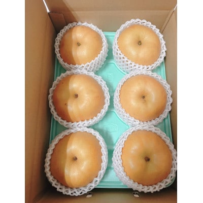 南信州産　梨【南水】3kg