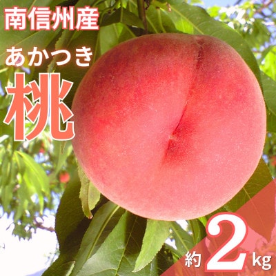【7月下旬より順次発送】南信州産「桃」あかつき 約2kg 【5～9玉】