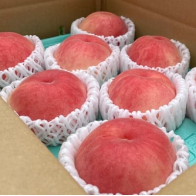 【7月下旬より順次発送】南信州産「桃」あかつき 約2kg 【5～9玉】