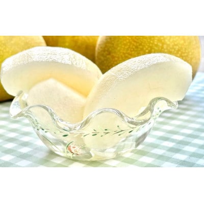 【8月中旬より発送予定】南信州産「幸水梨」約5kg【12～16玉】糖度11.0以上