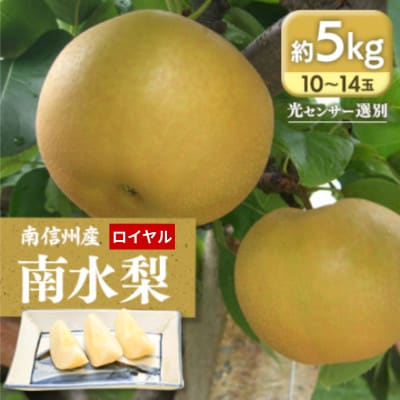 【9月上旬から発送予定】南信州生まれのジューシーで甘い梨【南水梨】ロイヤル　約5kg　10～14玉