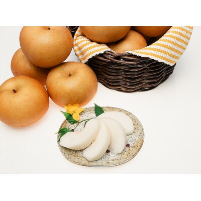 【9月上旬から発送予定】南信州生まれのジューシーで甘い梨【南水梨】ロイヤル　約5kg　10～14玉