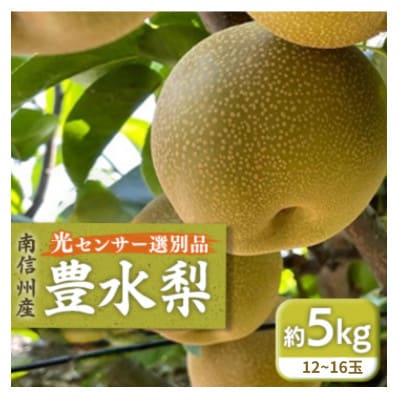 【9月上旬から発送予定】南信州産「豊水梨」約5kg 【12～16玉】 糖度11.0以上