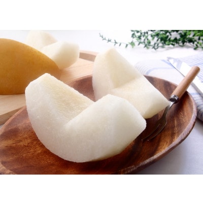 【9月上旬から発送予定】南信州産「豊水梨」約5kg 【12～16玉】 糖度11.0以上