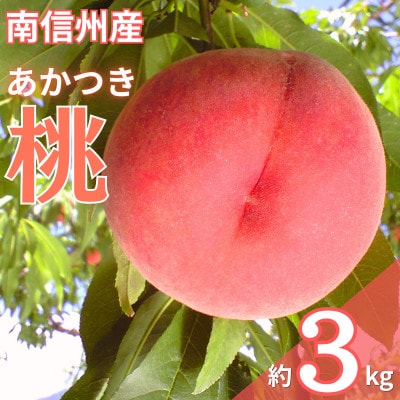 2026年先行予約!【7月下旬より順次発送】南信州産「桃」あかつき 約3kg【10~12玉】