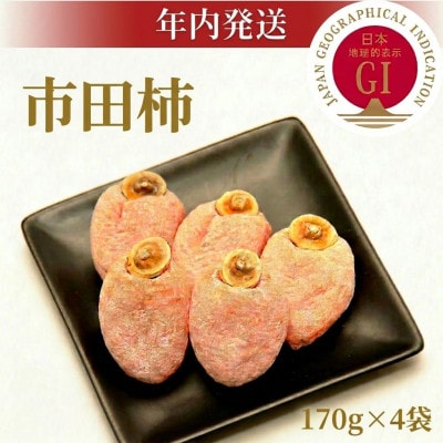 【年内発送】南信州産GI登録商品【市田柿】 約170g×4〈2026年12月中旬～発送予定〉