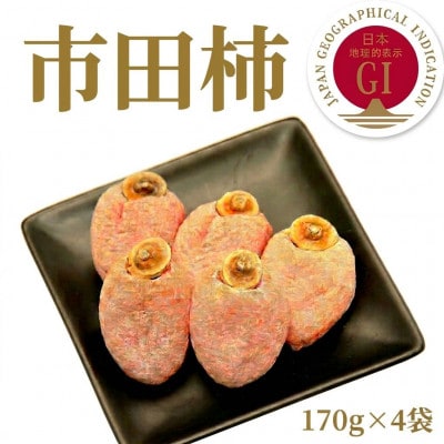 「訳あり」 南信州産《GI登録商品》【市田柿】 約170g×4〈2027年1月中旬～発送予定〉