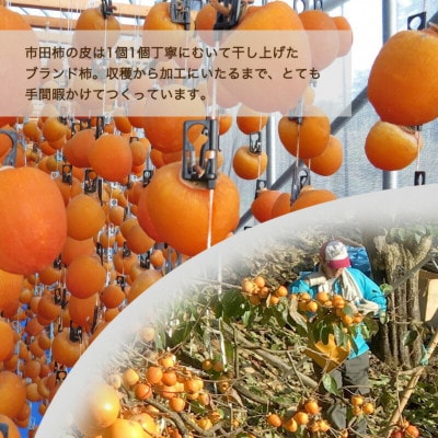「訳あり」 南信州産《GI登録商品》【市田柿】 約170g×4〈2027年1月中旬～発送予定〉