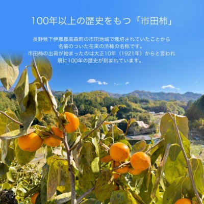 「訳あり」 南信州産《GI登録商品》【市田柿】 約170g×4〈2027年1月中旬～発送予定〉
