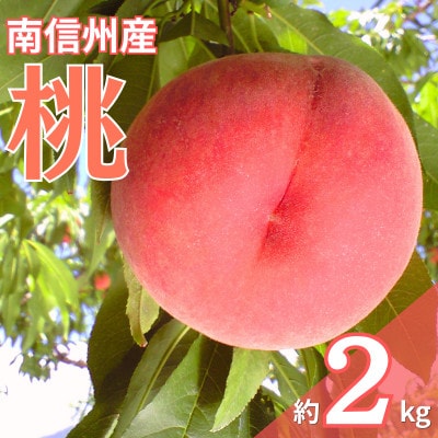 【7月中旬～順次発送】南信州産「桃」あかつき/なつっこ 約2kg 【5～9玉】品種おまかせ