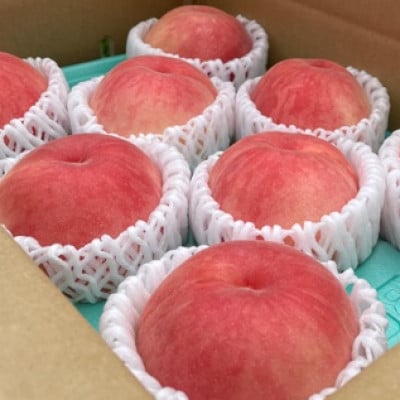 【7月中旬～順次発送】南信州産「桃」あかつき/なつっこ 約2kg 【5～9玉】品種おまかせ