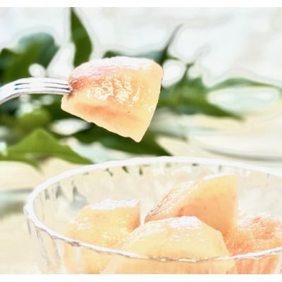 【7月下旬～順次発送】南信州産「桃」あかつき/なつっこ 約3kg 【8～12玉】品種おまかせ