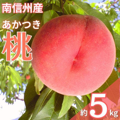 【7月下旬より順次発送】南信州産「桃」あかつき 約5kg 【14～18玉】