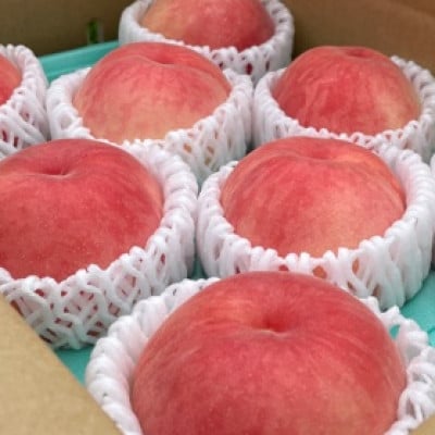 【7月下旬より順次発送】南信州産「桃」あかつき 約5kg 【14～18玉】