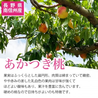 【7月下旬より順次発送】南信州産「桃」あかつき 約5kg 【14～18玉】