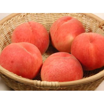 【7月下旬より順次発送】南信州産「桃」あかつき 約5kg 【14～18玉】