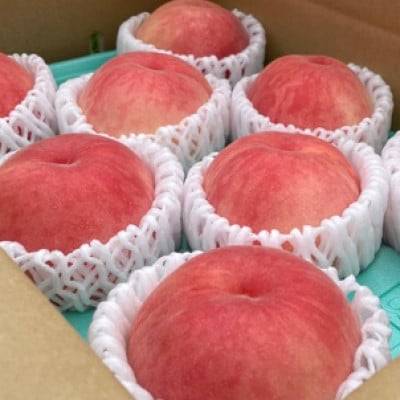 【7月下旬より順次発送】南信州産「桃」あかつき 約5kg 【14～18玉】