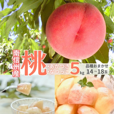 【7月下旬より順次発送】南信州産「桃」あかつき/なつっこ 約5kg 【14～18玉】品種おまかせ