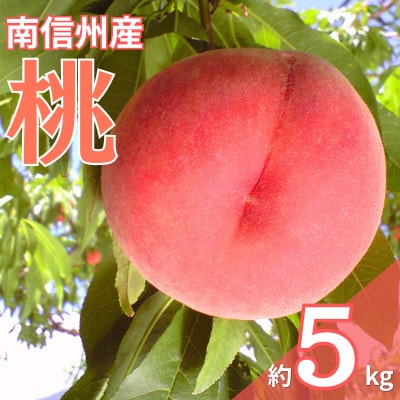 【7月中旬より順次発送】南信州産「桃」あかつき/なつっこ 約5kg 【12～18玉】品種おまかせ