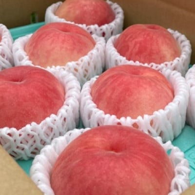 【7月下旬より順次発送】南信州産「桃」あかつき/なつっこ 約5kg 【14～18玉】品種おまかせ