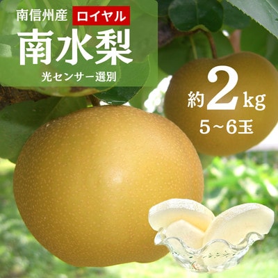 【9月上旬から発送予定】南信州生まれのジューシーで甘い梨【南水梨】ロイヤル　約2kg　5～6玉