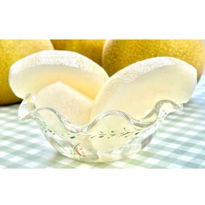 【9月上旬から発送予定】南信州生まれのジューシーで甘い梨【南水梨】ロイヤル　約2kg　5～6玉
