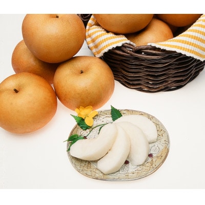 【9月上旬から発送予定】南信州生まれのジューシーで甘い梨【南水梨】ロイヤル　約2kg　5～6玉