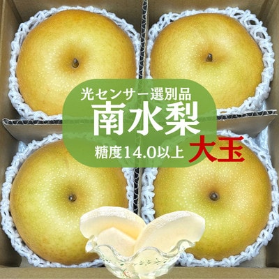 【10月上旬から発送予定】南信州生まれのジューシーで甘い梨【南水梨】ロイヤル〈大玉〉約2.4kg4玉
